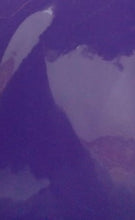 Cargar imagen en el visor de la galería, Mantel Rectangular Plástico 1 pza